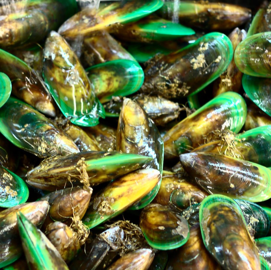 picture of fresh NZ green lip mussels