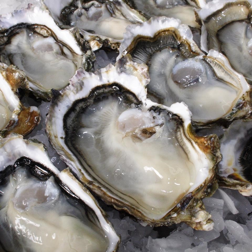 picture of fresh NZ Bluff Oysters